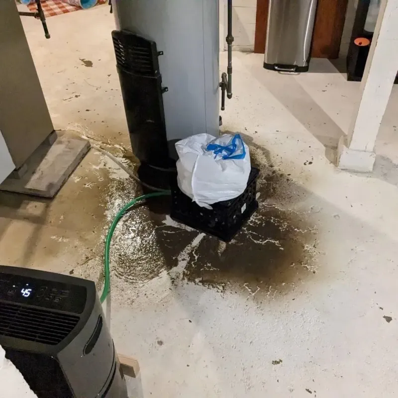 Sewage Backup Cleanup Service in Hudson, CO